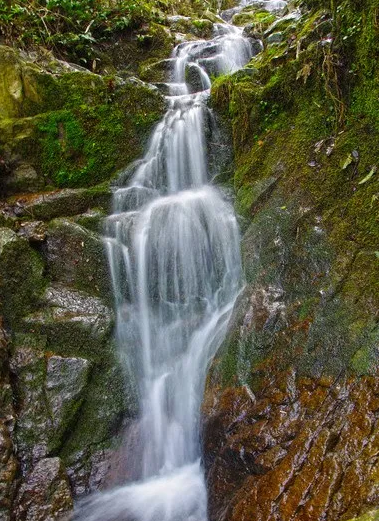 山泉水水質